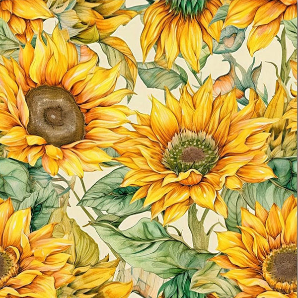 Big Sunflower