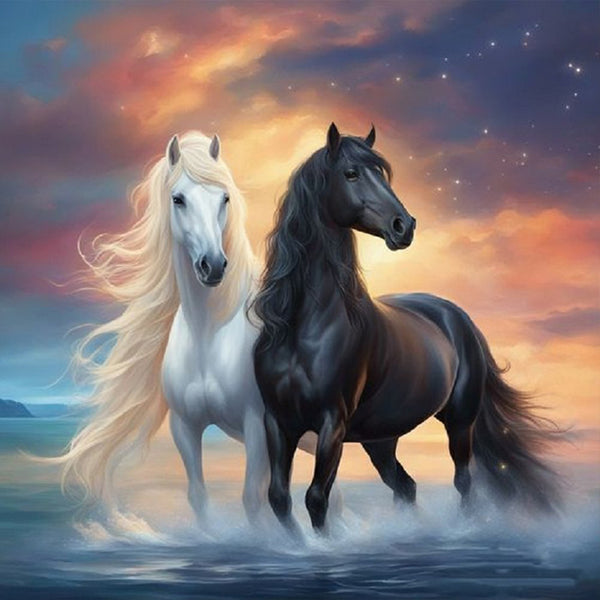Black Horse And White Horse