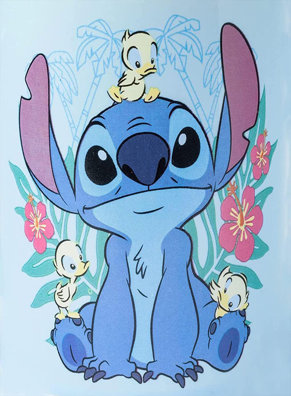 Stitch and Duck